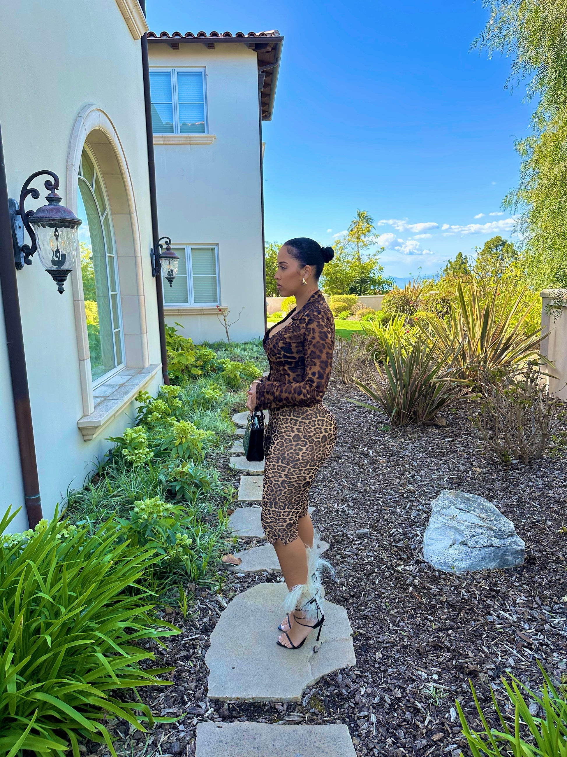 Jungle Fever Stretch Pant Set